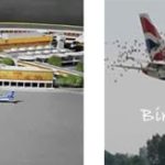 Airports