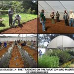 Green House Training