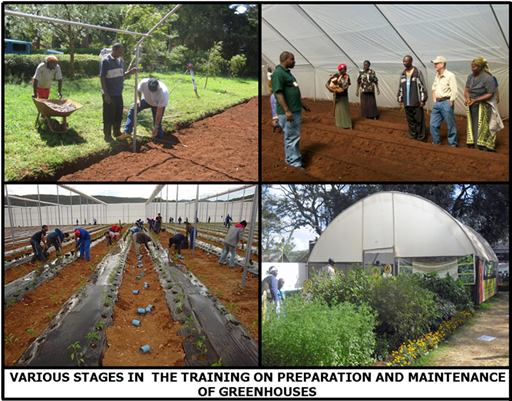 Green Training