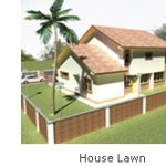 Lawn Maintenance