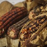 GRAIN BORER