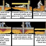 Post-Construction Termite Control