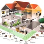 Residential Pest Control