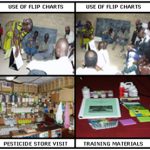 Termite Control Training
