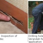 General Termite Control