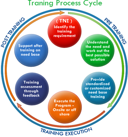Training Process